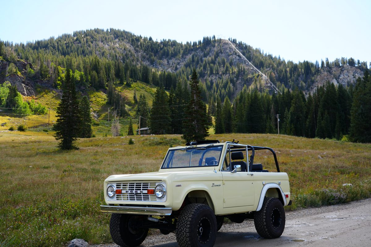 Front three-quarter view in a wide alpine meadow